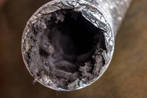 Best Residential Air Duct Cleaning  in Colby, WI