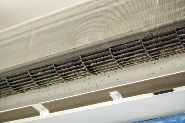 Best HVAC Air Duct Cleaning  in Colby, WI